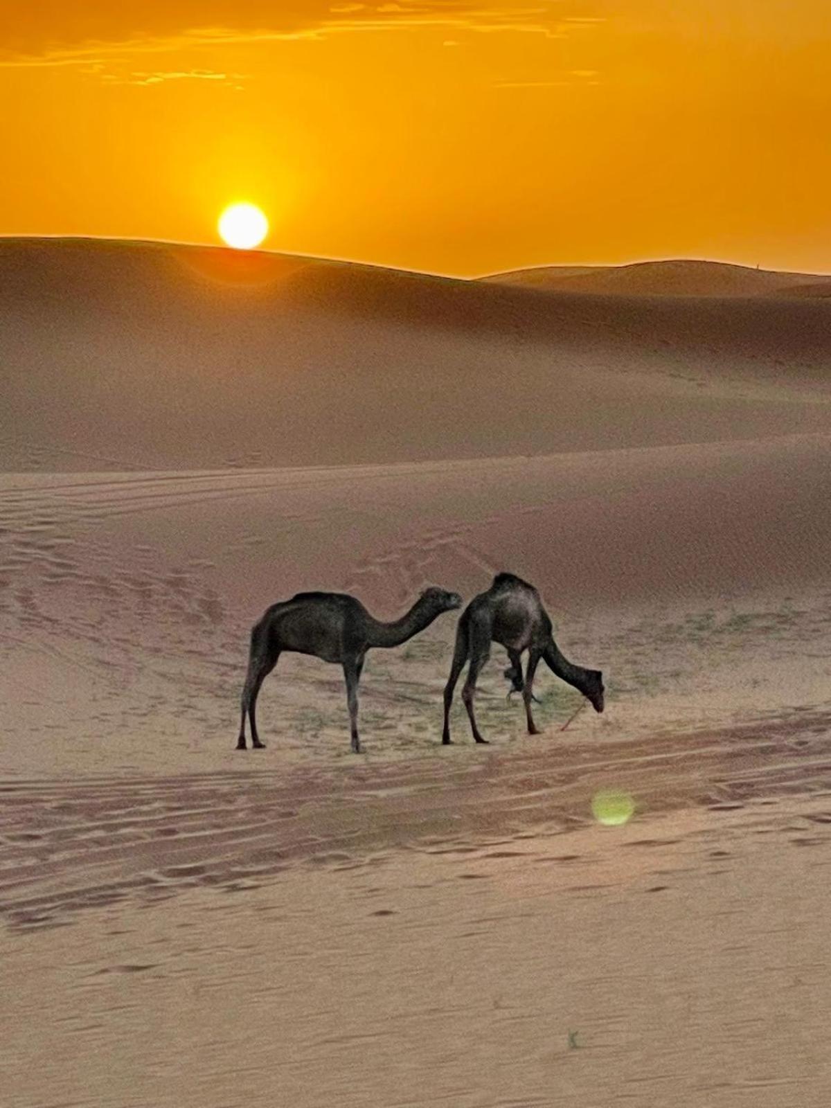 Chigaga Desert Camp M'Hamid Dış mekan fotoğraf